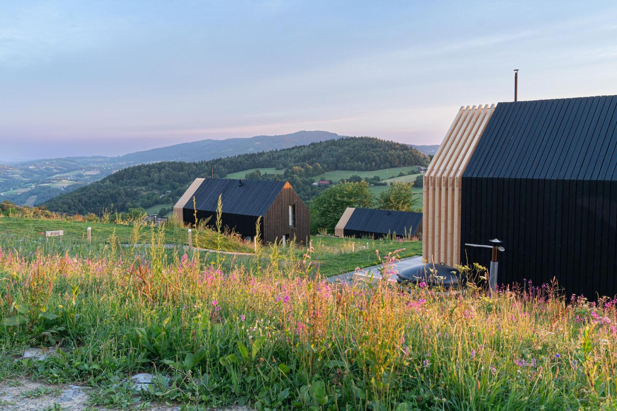 Domy Wypoczynkowe W Beskidach - Odpoczywaj W Naturze Laskowa  Buitenkant foto